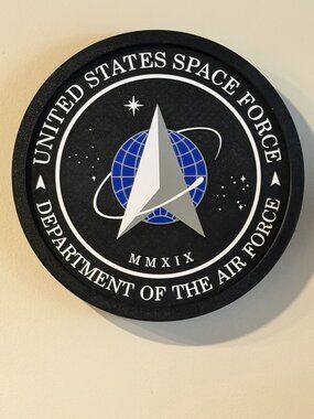 United States Space Force Department of The Air Force 10" Wall Decor